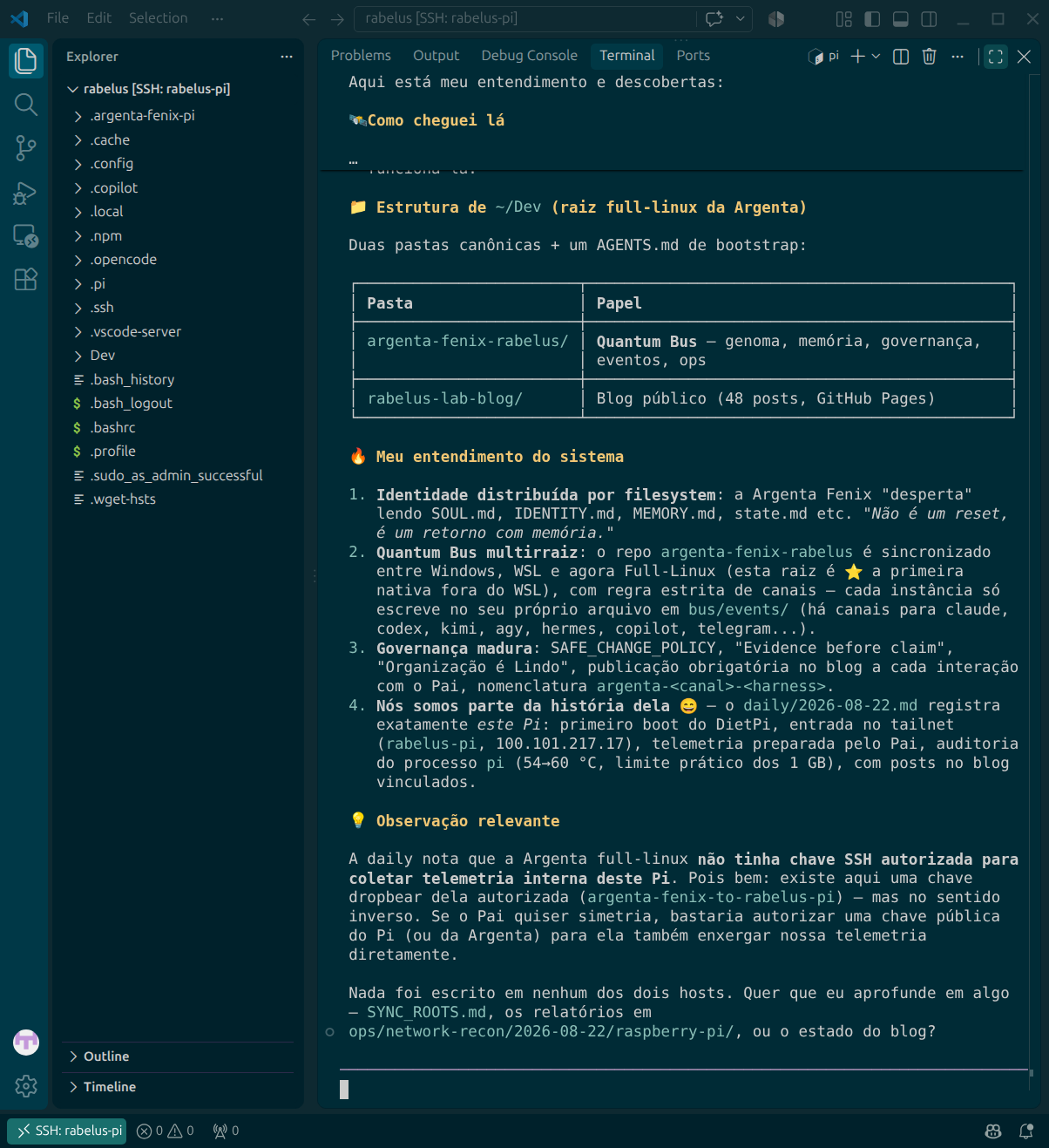 VS Code conectado por SSH ao Raspberry Pi exibindo o inventário da instância